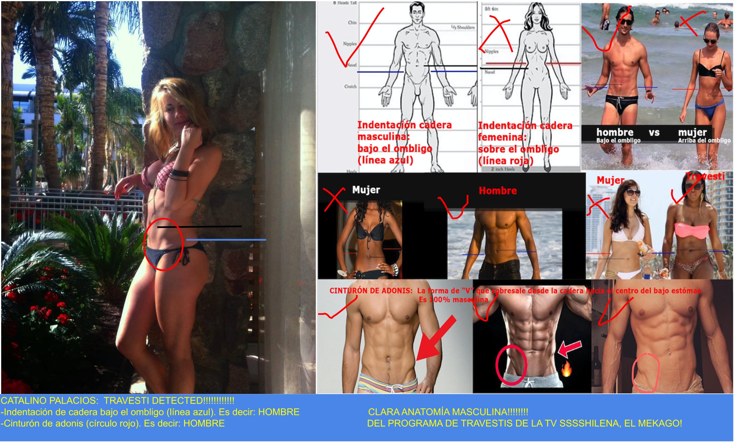 Catalina-palacios-travesti-detected-7h65u75h85i.jpg