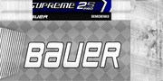 Demchenko19-Stick.png