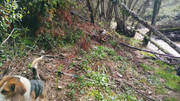 21-08032025
