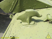 IMG-3121
