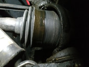 IMG-20210106-104920.jpg