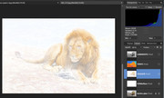 [Image: Lion4.jpg]