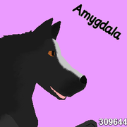 2024_05_07_0cv_Kleki