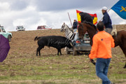 IMG-0076