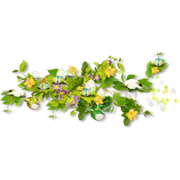 0-1c00f3-db93f993-orig