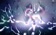 78-Echo-Furry