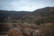 IMG-7227
