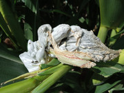 WhatsApp Image 2022-04-06 at 11.53.02 AM