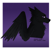 export202409082106456361