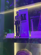 13B412C8-2196-4AB7-B637-AEA713033856