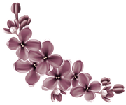 TADD-elements-Last-Dance-In-Paris-84