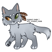 silver colorpoint tuxedo