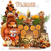 kgcitruschristmasPlease