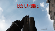 1865 Carbine - Centered