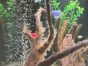 C269C335-B978-45BA-8749-52CD381B3717