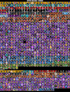 skins-comp