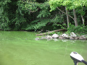 [Image: IMG-5263.jpg]