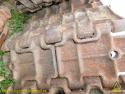 DSCN6976