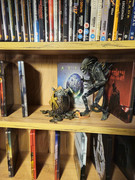 [Obrazek: 20241025-185458.jpg]