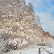 Clockwork-Xmas-Papers-12