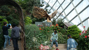 Flower Dome 16