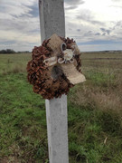 370283146_874940950585438_223284739682192696_n