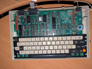 [Image: PXL-20250331-114019672.jpg]