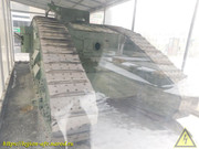 DSCN5259