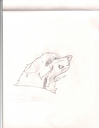 How dare you trap me