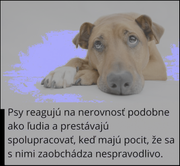 Obrázok