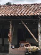 IMG-8373