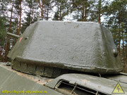 DSCN5169