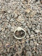 WhatsApp Image 2019-11-05 at 17.06.10