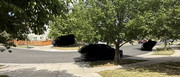 IMG-3322