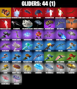 gliders-comp