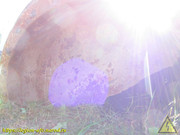 IMG-1611