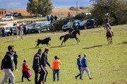 IMG-0022