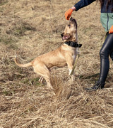 IMG_20230416_173437_116