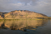 [Image: PXL-20250517-015755062-MP-2.jpg]