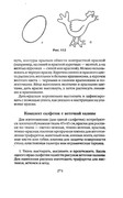 Shyem-shtory-i-podushki-Darya-Kostina-271