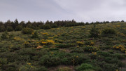 IMG-20250614-080305