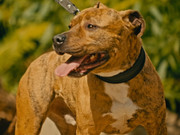 Screenshot_20230708_154705_Gallery