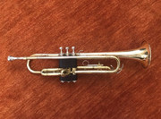User image