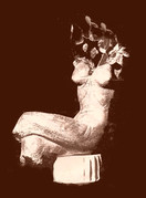 torse1