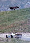 Targa Florio (Part 4) 1960 - 1969  - Page 13 1968-TF-224-08