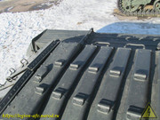 IMG-3426