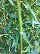 62021514_2365826067006451_2349310509200703488_n