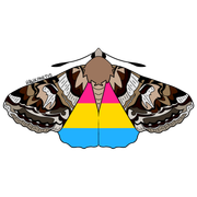 moths3-1