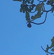 D1514BD0-B076-427E-A38E-E18CFFF58B71