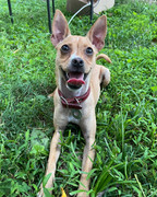 B11D9289-D469-40B2-B73A-EB6DB6A2EA2A